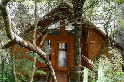 Loft — Sapa Jungle Homestay