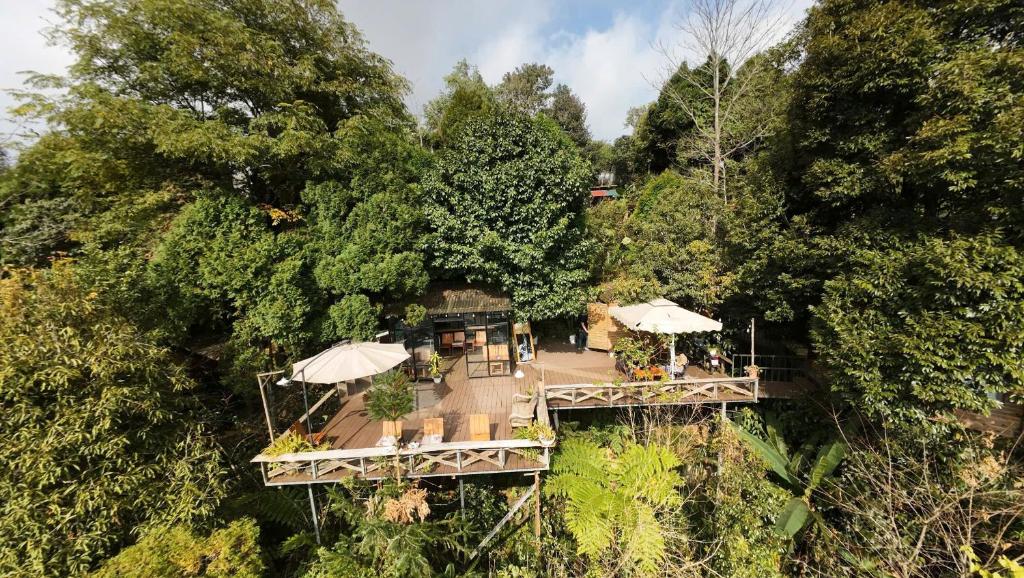 Sapa Jungle Homestay – Sa Pa