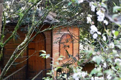 Bungalow — Sapa Jungle Homestay