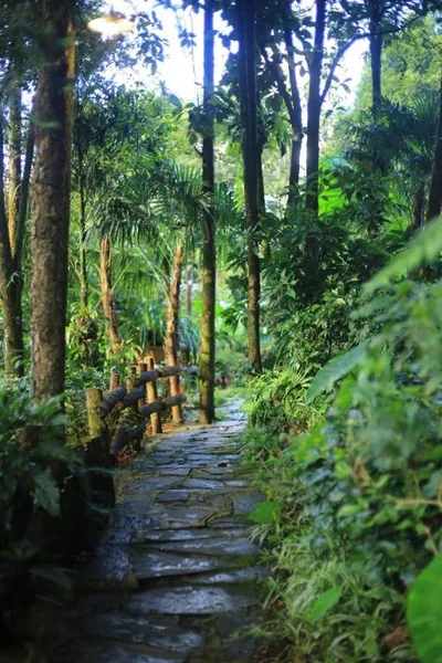 Family Bungalow — Sapa Jungle Homestay